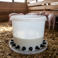 Large plastic nursing pail with multiple black rubber nipples in a nursery pen